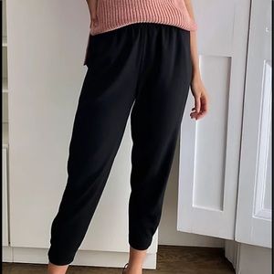 Aritzia Babaton Dexter Jogger Dress Pants, M